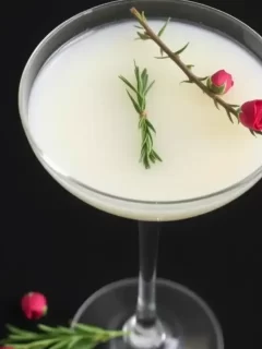 White Rosemary Rose Cocktail