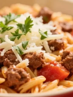 ground beef orzo